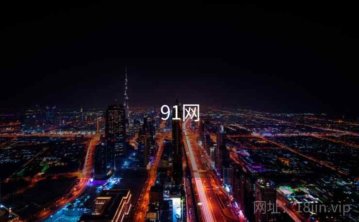 91网 91网