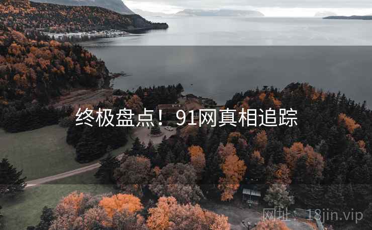 终极盘点！91网真相追踪