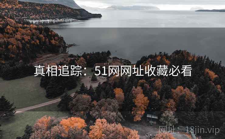 真相追踪：51网网址收藏必看
